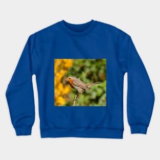 r719/  7 " Les Oiseaux du jardin " simply life " Simplement la Vie " - photo Okaio Créations - Olavia-Olao Crewneck Sweatshirt